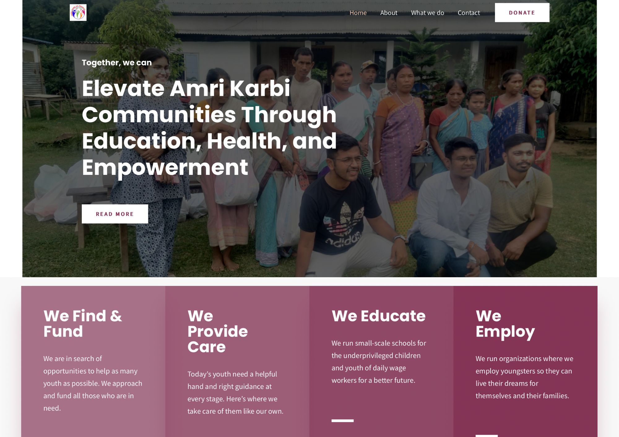 AKCDP website before redesign